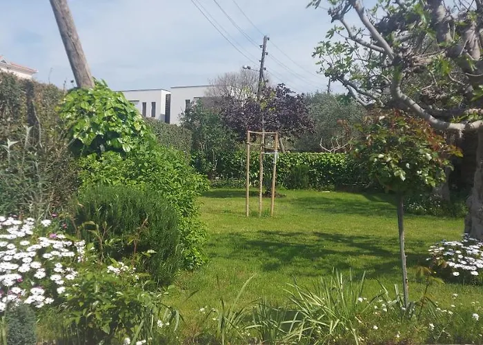 Olive Tree Apartmán Zadar