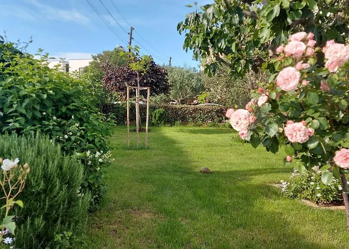 Olive Tree Апартаменти