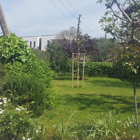 Olive Tree Διαμέρισμα Ζαντάρ