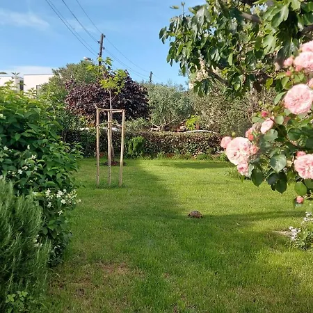 Olive Tree Apartament